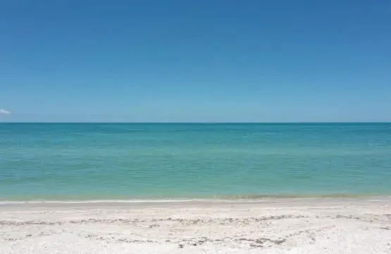 72457 219475 Ap6k19NNmr6fyMTdBucUdZxnuv2hJoXODvbG37Ym3ls 65a53323a0bb8.jpg