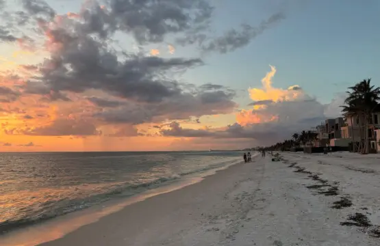 72457 355921 HUzT8fxfrWAz9sV5EGzguoLAbNjX 8PnYV2k54 IoYA 679c1f4d9cb62.jpg