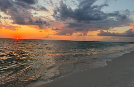 72457 371963 bJHAGvTQxlhWRg5 yKwa XGV01I1PvkDtN4qWgx0c 682d3122439ca.jpg