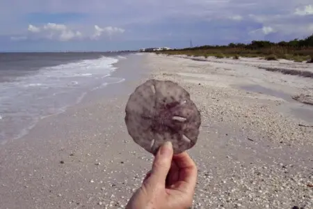 72457 298329 4xBm Mn6FtA SudzjcW2NX1KQTKV m1 uPoDV359NLw 682d1e7cbb128.jpg