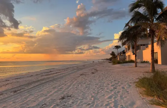 72457 355921 qTinvB73hnIYzoBhr iBSwTWGkBoYXqL8Ghyx KT38A 679bf518546be.jpg