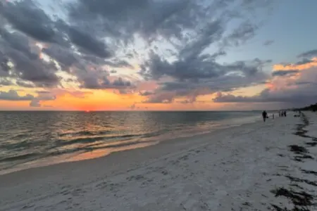 72457 364337 7kLuBz1iT6cMfH8ELSIn5YVdKCf0g42q2W8H9Cq3yQE 682d2ce617abc.jpg