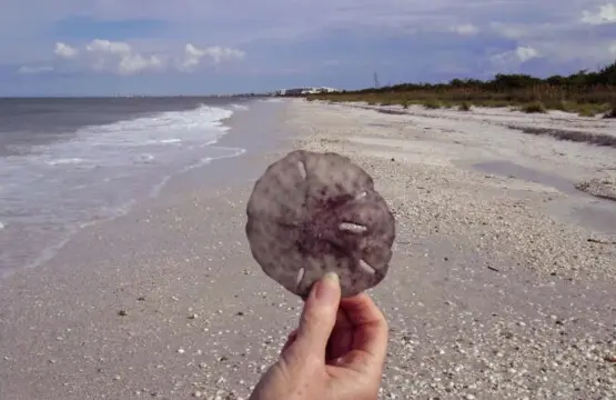 72457 364875 NoA1flAGeKJYRsV4gEh2ixj2y1mH vOf36pF7RMpIw 67bec92262546.jpg