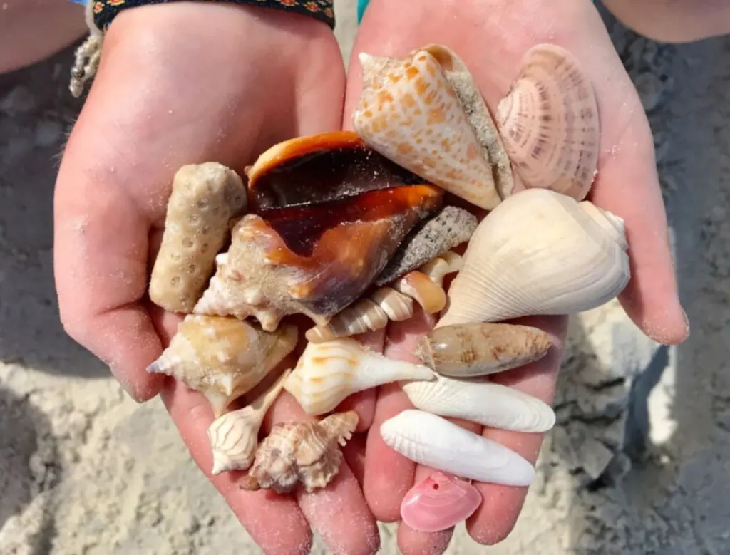 72457 364875 eNVZcrw1XX3Xi2UQQWicIibZfM4kp sBfWdl s1pDPE 67bec920bfd40.jpg