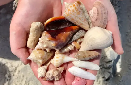 72457 364875 eNVZcrw1XX3Xi2UQQWicIibZfM4kp sBfWdl s1pDPE 67bec920bfd40.jpg