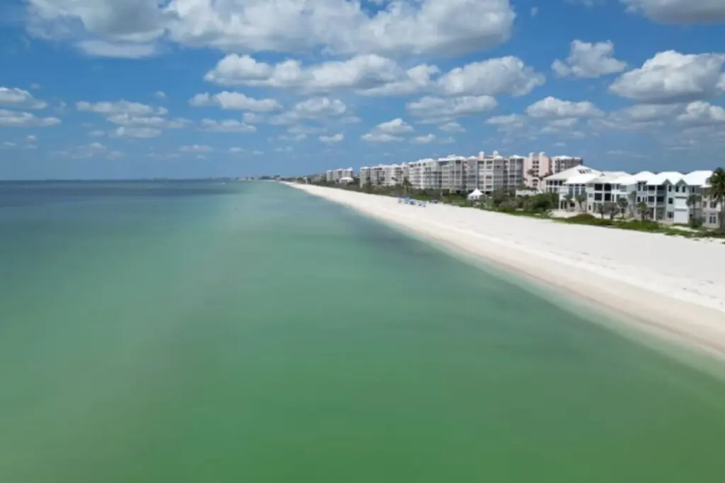 72457 371963 43UDeTO5xMn7VpA8JftMA1VoP7Ae8jDNdHmvKH8m7FI 67d8ca52462e5.jpg