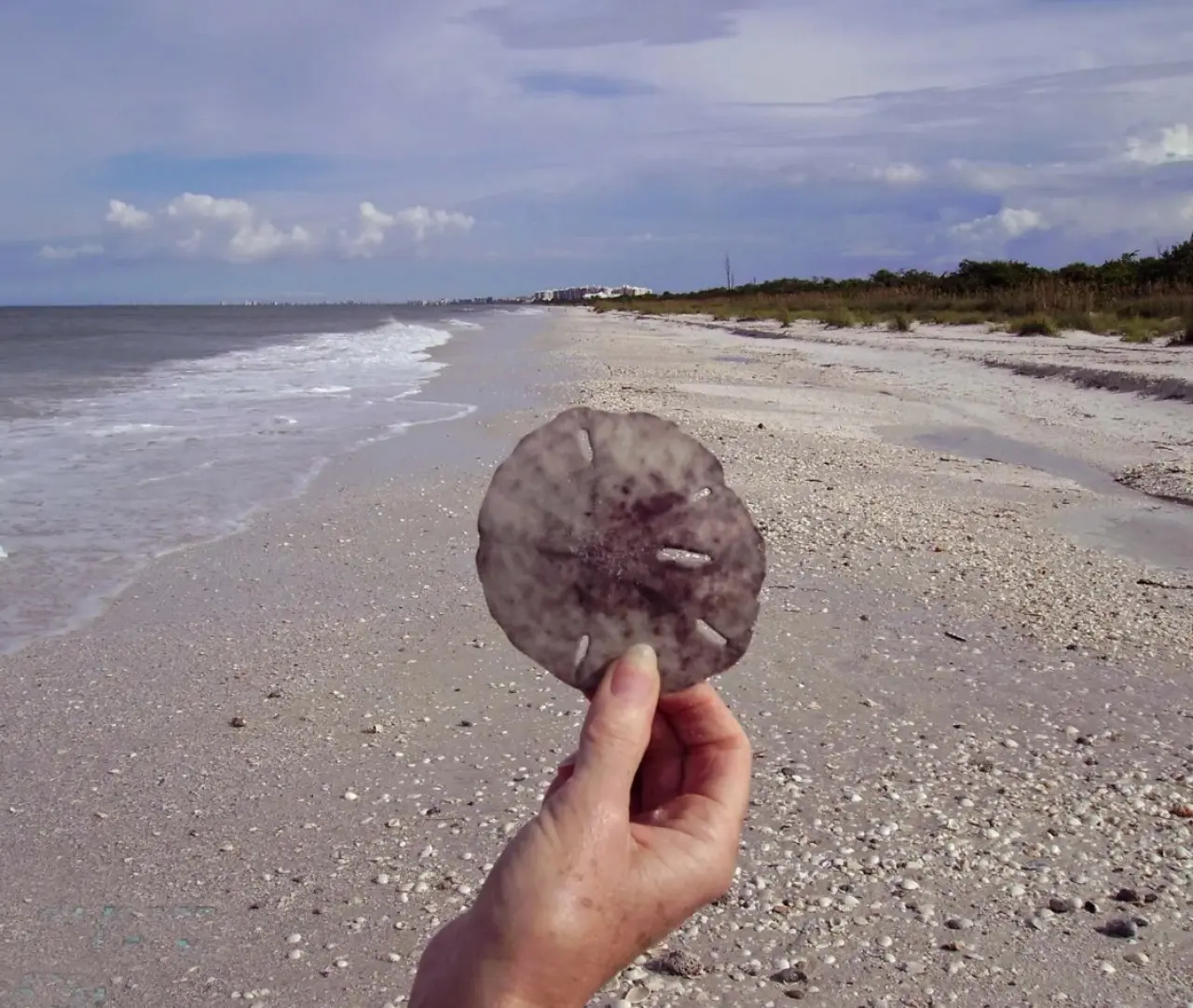 72457 371963 D5h7OjrxRLExymuWDuOMjdaSNWfNEqUrKihuGlkssYo 682d3157e78d4.jpg