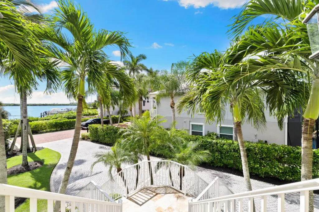 45 web or mls 1V9A1291