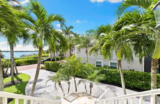 45 web or mls 1V9A1291