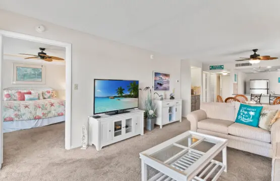 13 web or mls A0107004