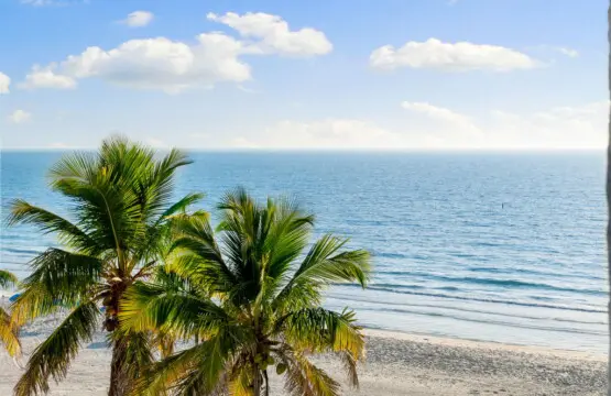 41 web or mls A0109644