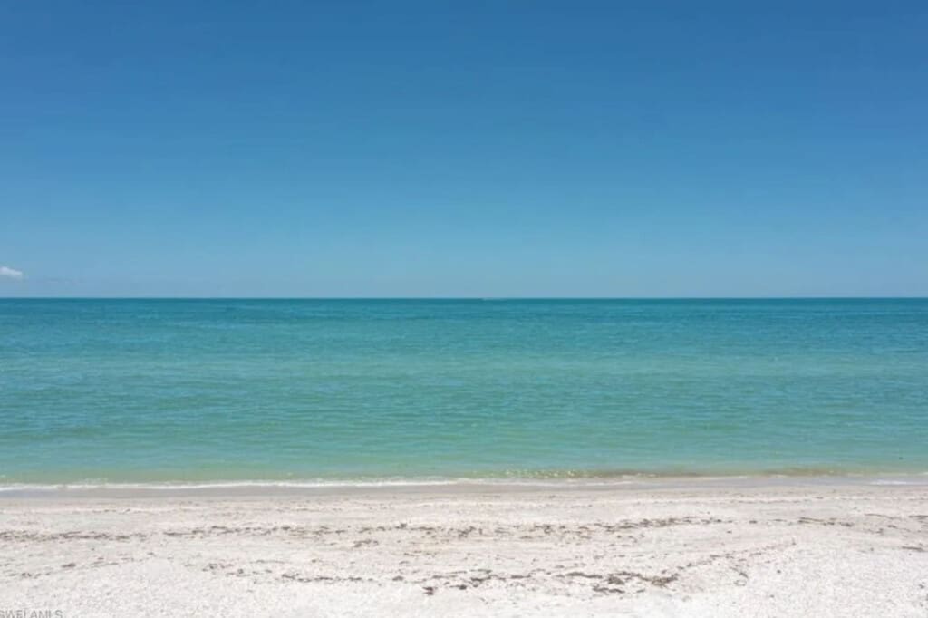 72457 219475 Ap6k19NNmr6fyMTdBucUdZxnuv2hJoXODvbG37Ym3ls 65a53323a0bb8.jpg