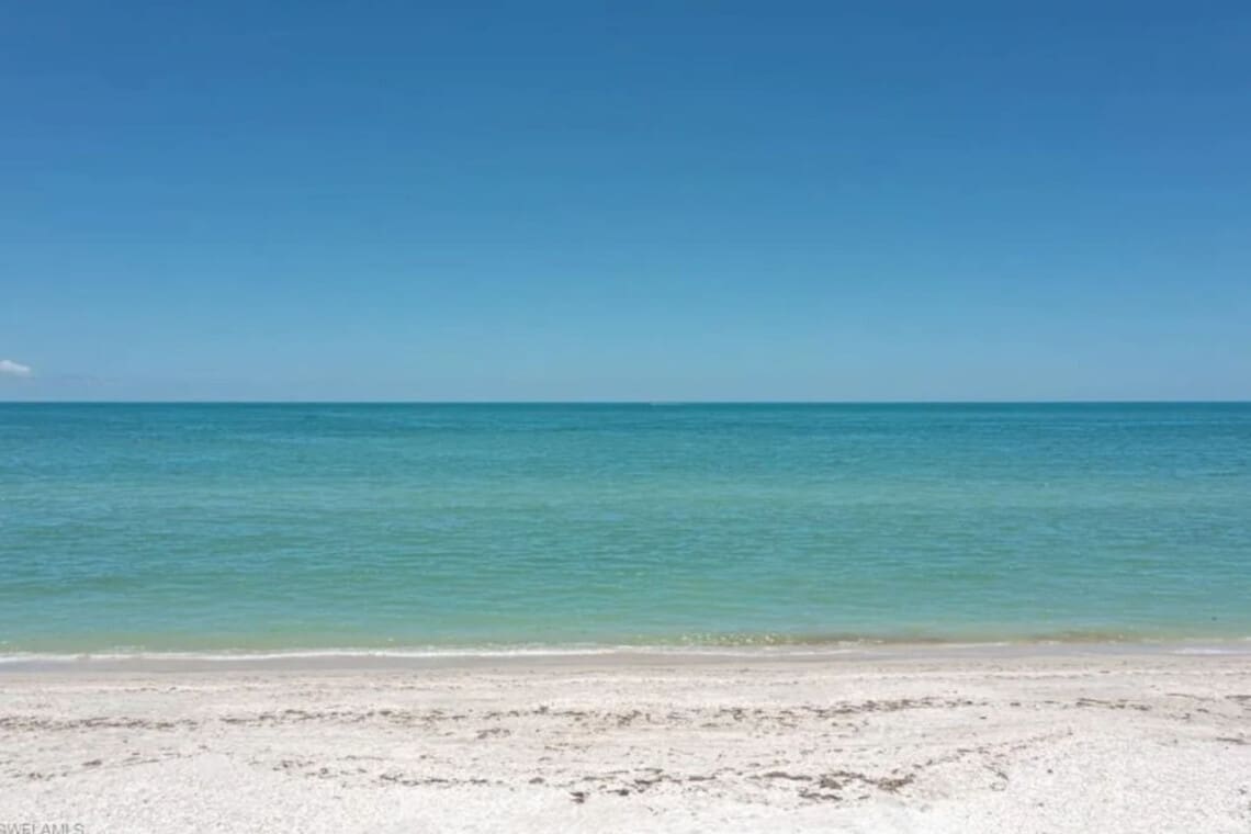 72457 219475 Ap6k19NNmr6fyMTdBucUdZxnuv2hJoXODvbG37Ym3ls 65a53323a0bb8.jpg