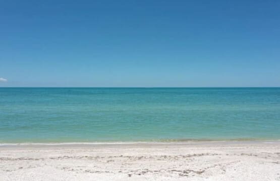 72457 219475 Ap6k19NNmr6fyMTdBucUdZxnuv2hJoXODvbG37Ym3ls 65a53323a0bb8.jpg