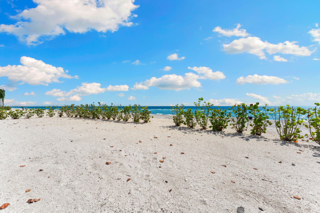 IslandParadise 66 web or mls DSC09538