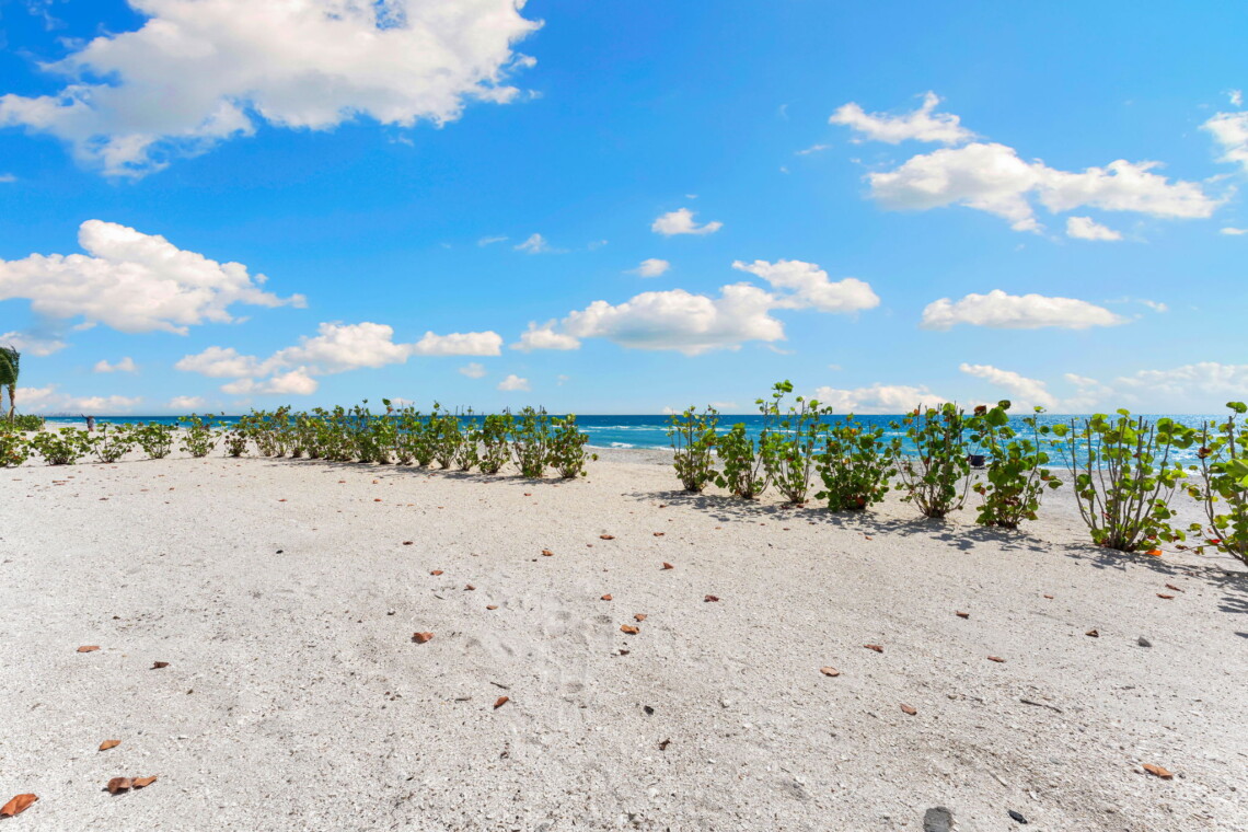 IslandParadise 66 web or mls DSC09538