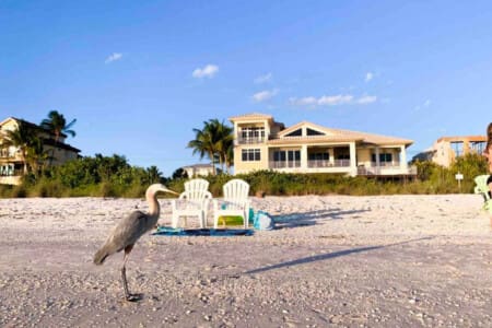 72457 204751 j0j6iwhBUMYhZ8wwR93lsA 2rFm4lyWIOZg c2dgJFY 652ffa017eb30.jpg