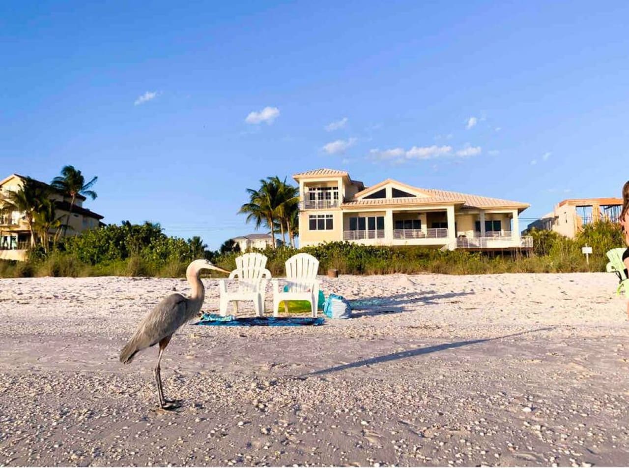 72457 204751 j0j6iwhBUMYhZ8wwR93lsA 2rFm4lyWIOZg c2dgJFY 652ffa017eb30.jpg