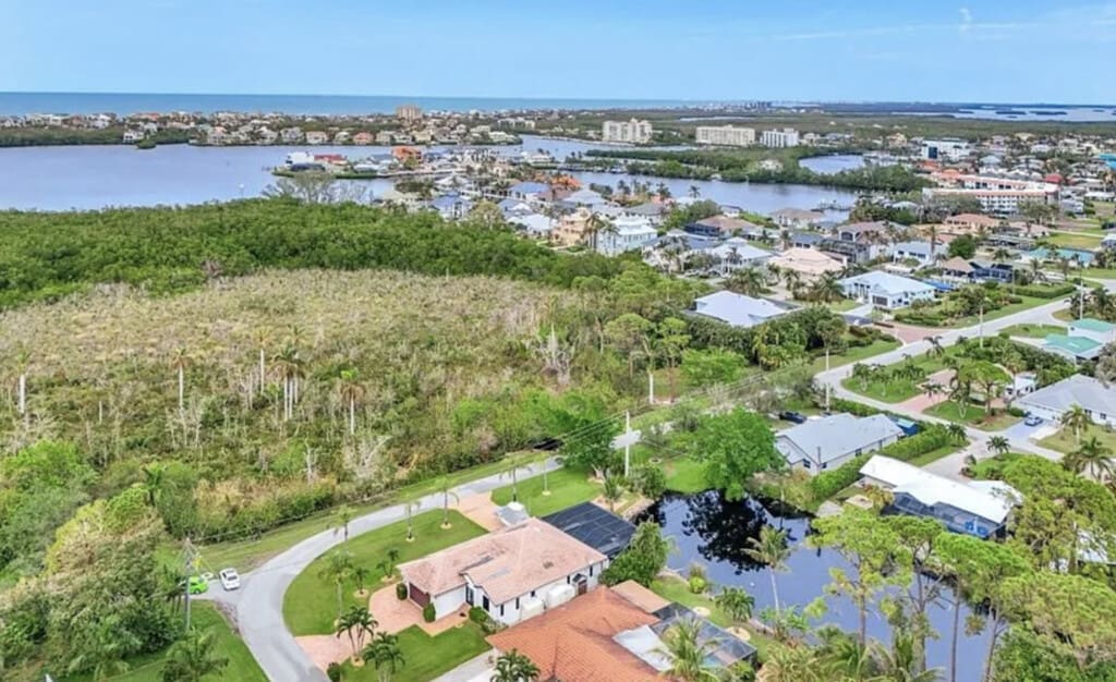 72457 208521 c TUjVS4Mamzc9StRAdWsItOD7l3QL6HdDVkLBYB8nQ 68812df3913e0.jpg