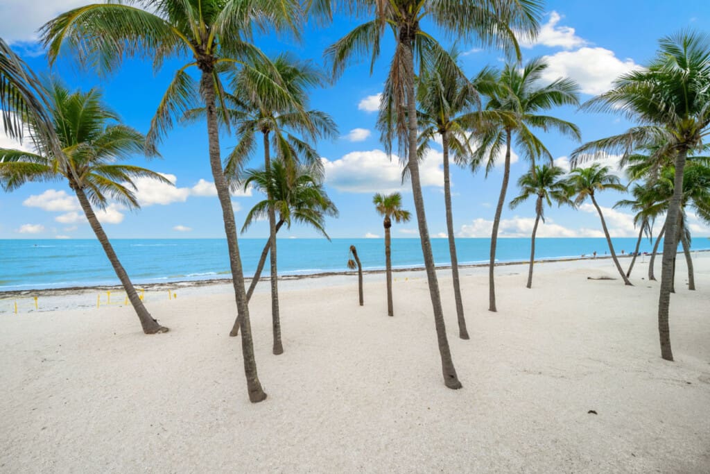 72457 219475 VQUO6mCV2w6L2LZ08n WM 4K 3cg9sNijF7bHhtJXwY 685c2604a9f0a.jpg