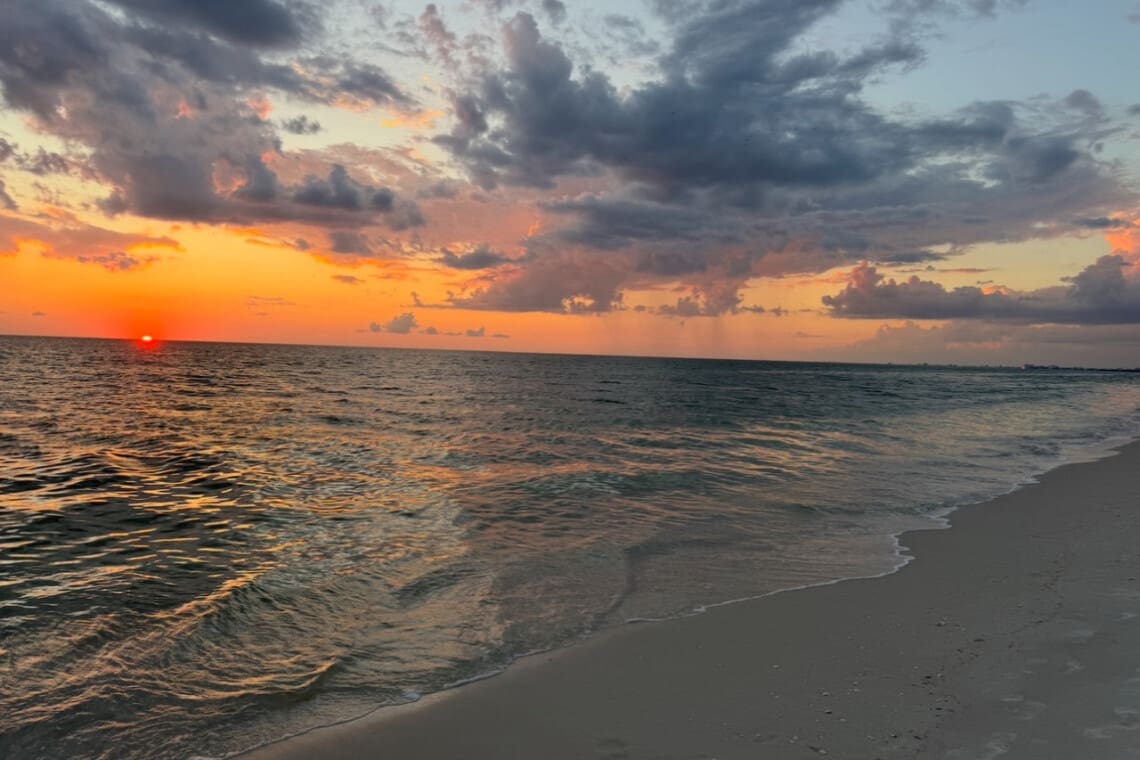 72457 298329 sF0QUa4P2HQxqYTYtsh B8UWhBbj5Md2Frx8OKIoR1k 682d1e92eec5c.jpg