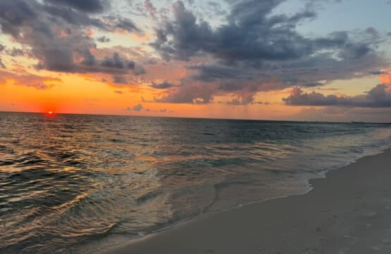 72457 298329 sF0QUa4P2HQxqYTYtsh B8UWhBbj5Md2Frx8OKIoR1k 682d1e92eec5c.jpg