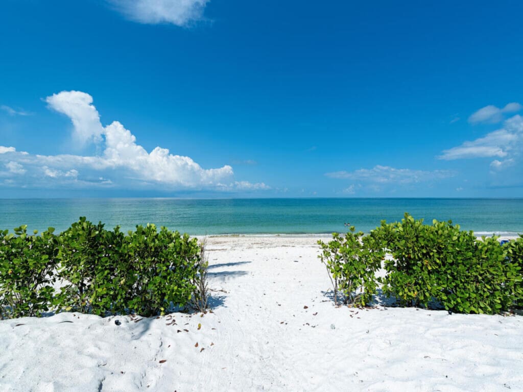 72457 298386 mtoC kh9IaPVkhMsOs6c1TB cvUhZU8M7 u91a2SNy8 66b76206bc04d.jpg