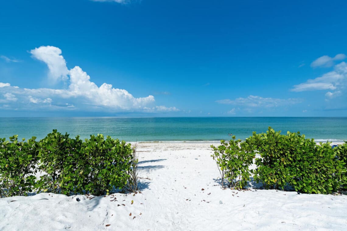 72457 298386 mtoC kh9IaPVkhMsOs6c1TB cvUhZU8M7 u91a2SNy8 66b76206bc04d.jpg