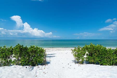 72457 298386 mtoC kh9IaPVkhMsOs6c1TB cvUhZU8M7 u91a2SNy8 66b76206bc04d.jpg