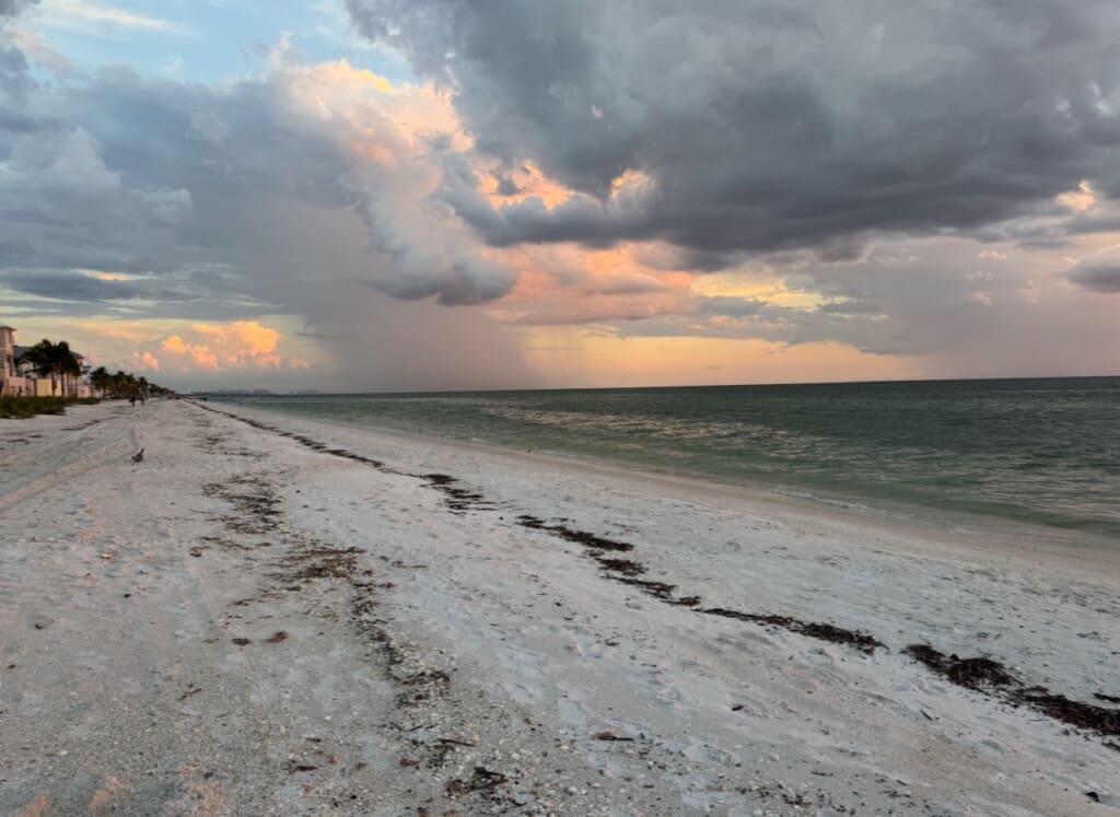 72457 364337 Af26xqBH E7tU namcnH wp7jmopSDA8eL2cAbe525c 682d2aabe21ee.jpg