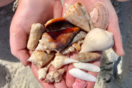 72457 364337 aeavooX2CH9p7yrYnYwBE0h0xiAHTLUb SWtwlUNtY 682d2b6542e05.jpg