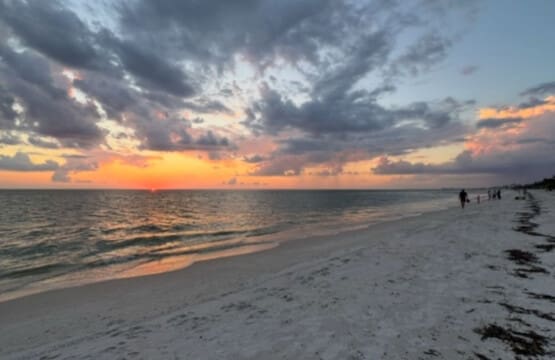 72457 364875 cUP3MSFprQ2qffXpL4QoO0QPqLBSiEsyjQaLhFXE50Q 67bec91e0dbe7.jpg