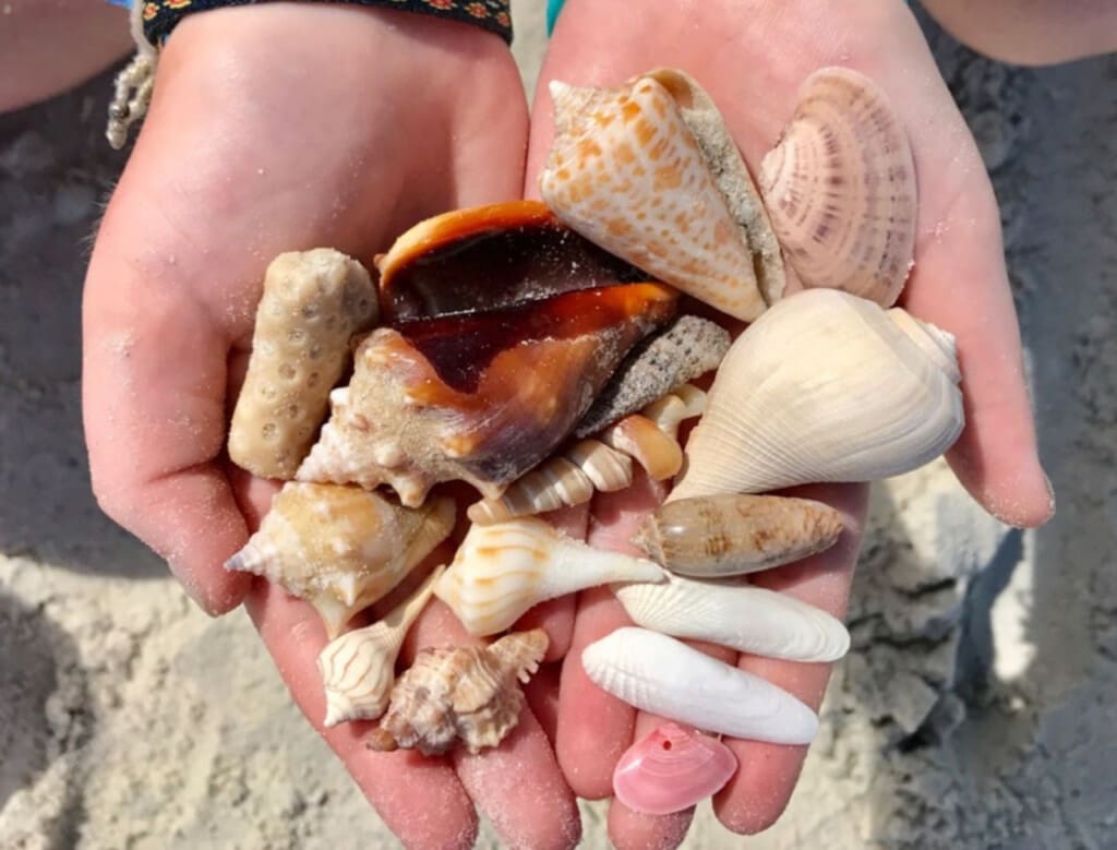 72457 364875 eNVZcrw1XX3Xi2UQQWicIibZfM4kp sBfWdl s1pDPE 67bec920bfd40.jpg