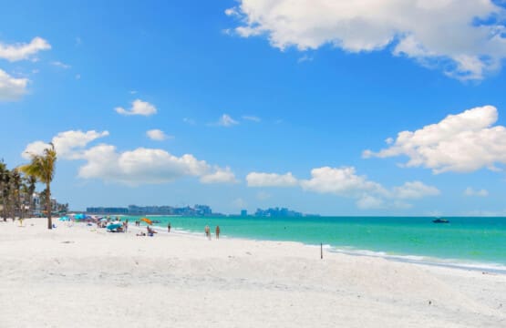 72457 428229 R8E6wKb wx8Sn uNyPjC8a5 uwdUm8aUbbcu2Me2Cc4 68b20e0a1436e.jpg