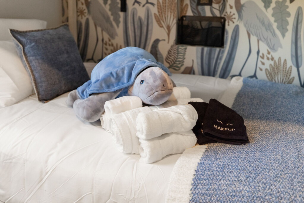 19 web or mls 1V9A4958