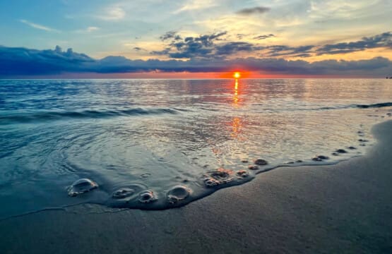 72457 204757 WEyCLx bEewREG2IAfcGB198LTxF mpXO43FD71HA5c 695fe3e868bfc.jpg