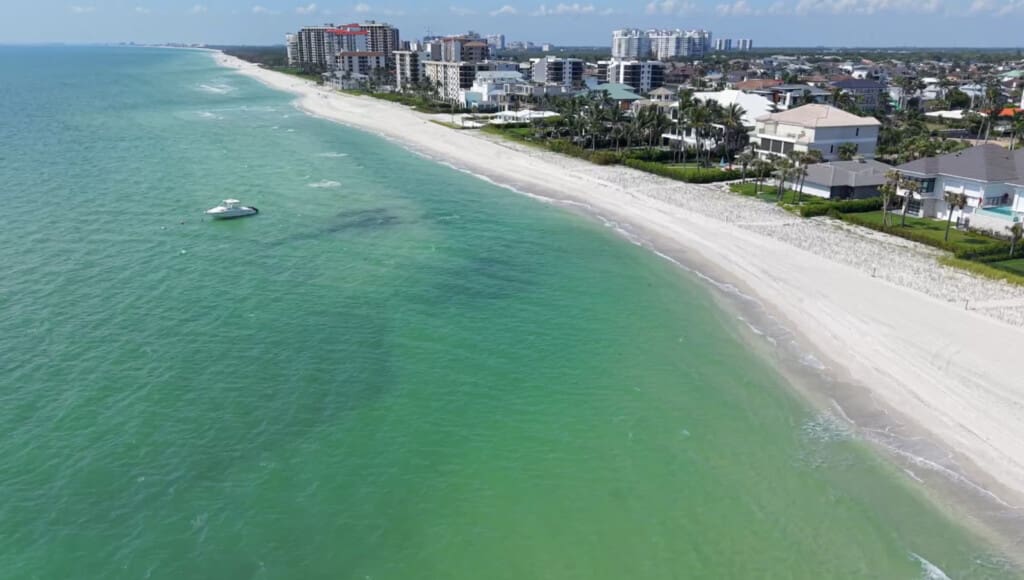 72457 237037 63n1LE4D6tg9RlTK16 1kL2WAJXyz2o7Ops IQgiu2k 695fd8959a561.jpg