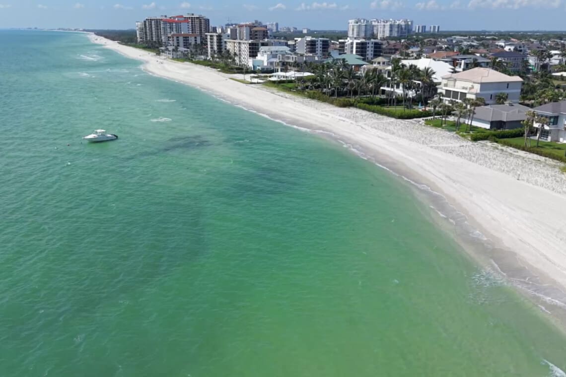 72457 237037 63n1LE4D6tg9RlTK16 1kL2WAJXyz2o7Ops IQgiu2k 695fd8959a561.jpg