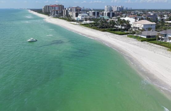 72457 237037 63n1LE4D6tg9RlTK16 1kL2WAJXyz2o7Ops IQgiu2k 695fd8959a561.jpg