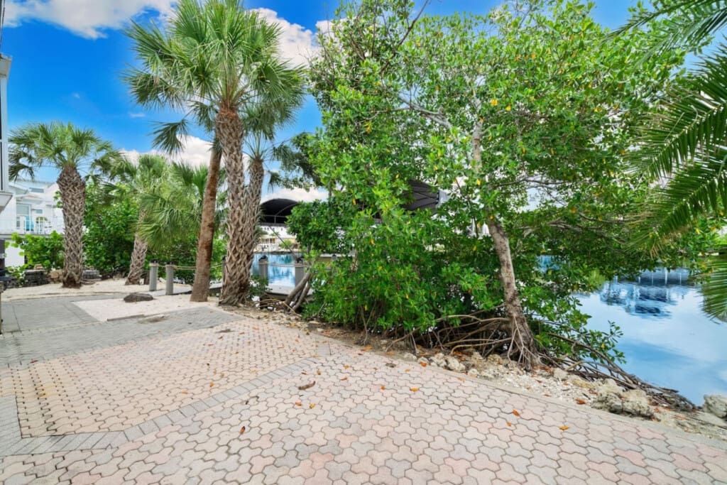 72457 463252 s0puU1j 5ZQYiCZ8zmbOldnuh1jpS3PCg3KriBriQQ 69375cc40ee96.jpg