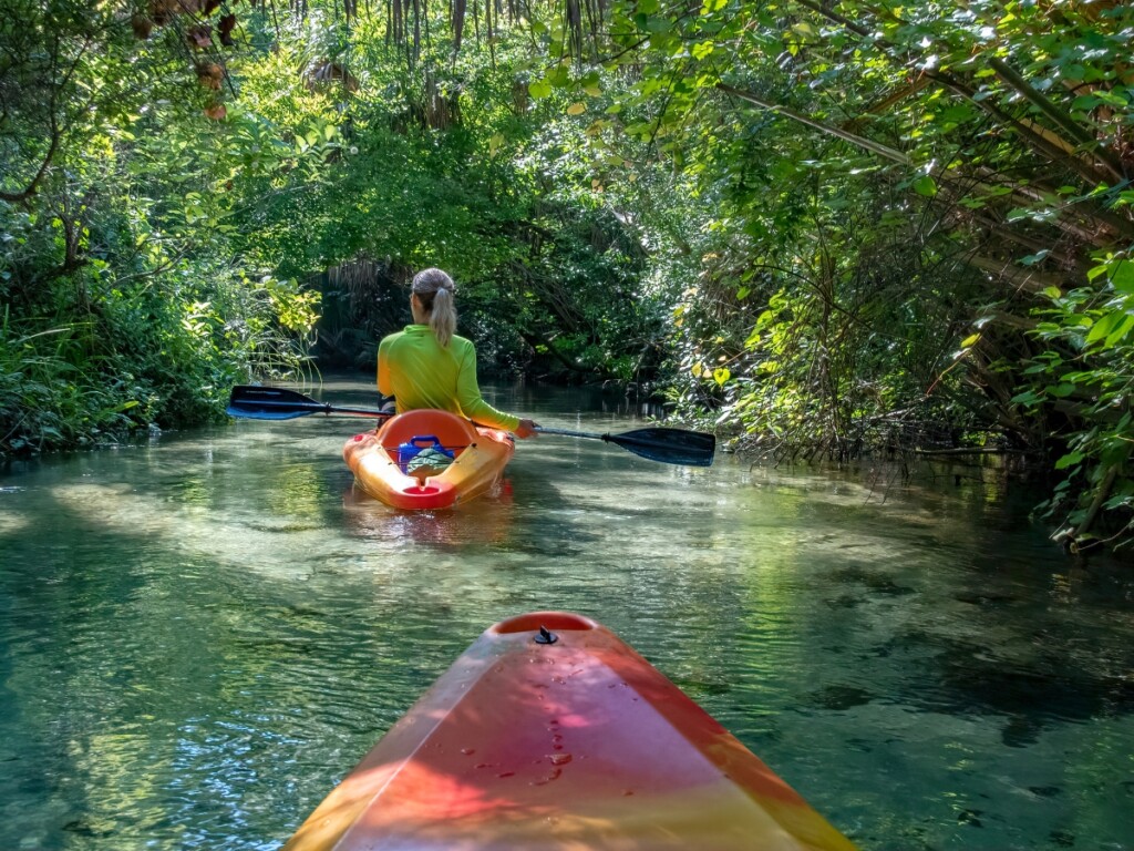 kayaks floating on the Imperial River