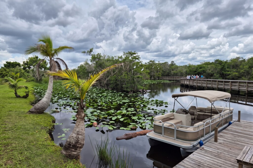 EcoSafari Everglades Tour