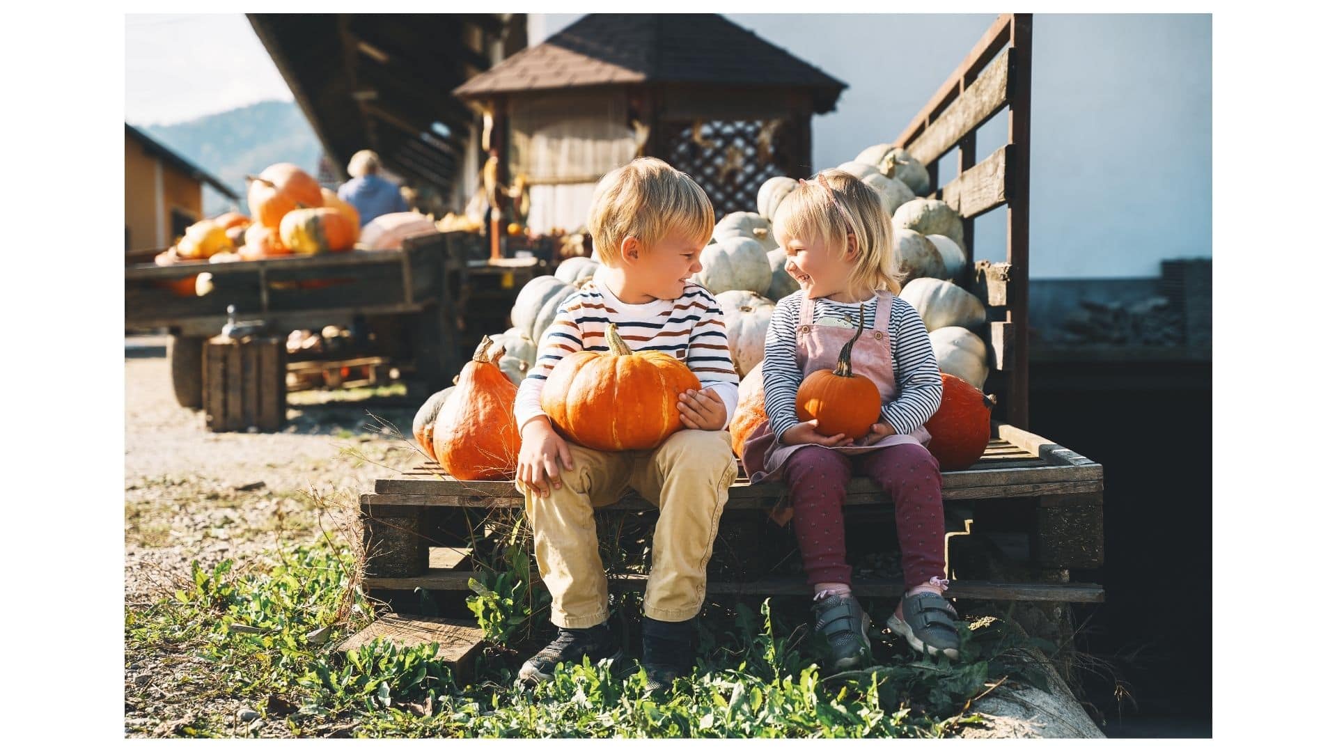 fall festival